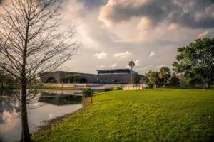 Commercial landscape maintenance for a Florida office building with a healthy green field